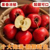 新鲜山楂 1.5kg
