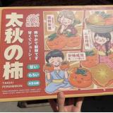 太秋脆柿 8个装