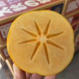 太秋脆柿 8个装