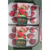 草莓 500/盒