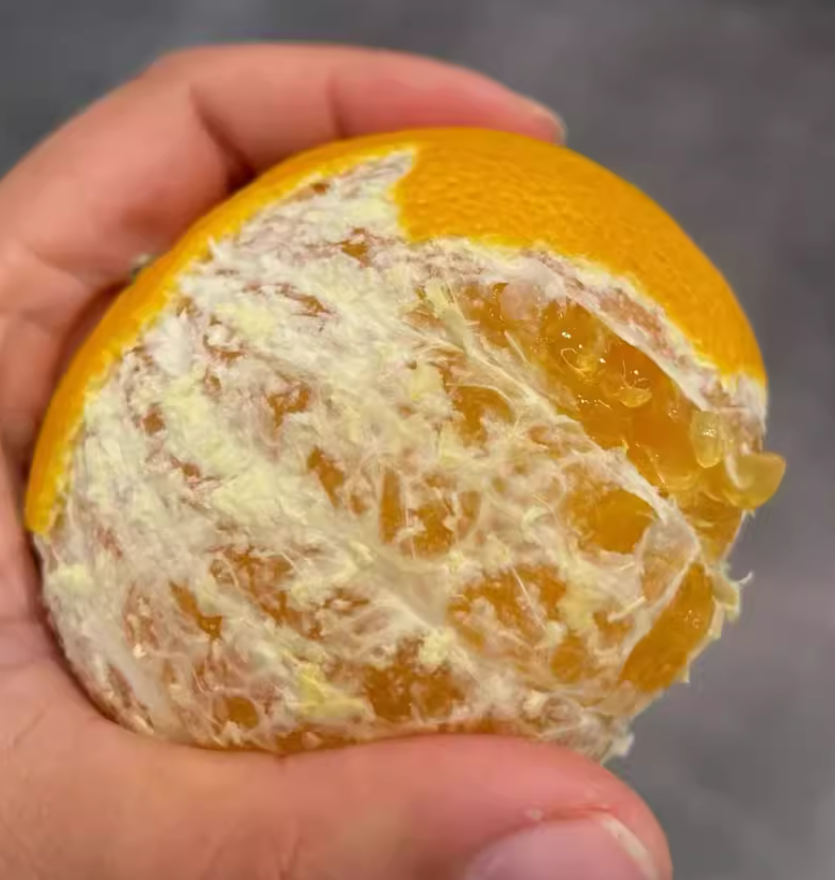 黄美人 柑橘 2.5kg