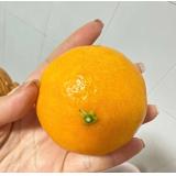 黄美人 柑橘 2.5kg