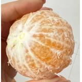 黄美人 柑橘 2.5kg