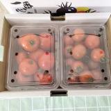 双拼小番茄 龙珠/春香 4斤