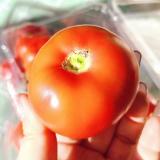 双拼小番茄 龙珠/春香 4斤