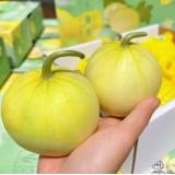 小脆香甜瓜 1.5kg