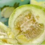 小脆香甜瓜 1.5kg