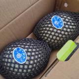 冰淇淋蜜瓜 2只