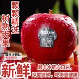 新西兰乐淇苹果 12个