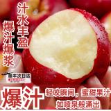 新西兰乐淇苹果 12个