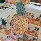 凤梨 4.5kg