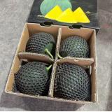 黑晶西瓜 6kg