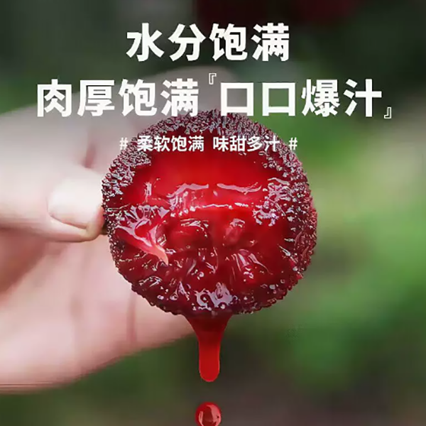 杨梅 4斤