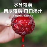 杨梅 4斤