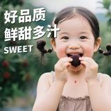 杨梅 4斤