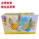 东山白玉枇杷 2kg