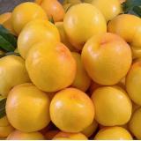 芒果桃 1.8kg