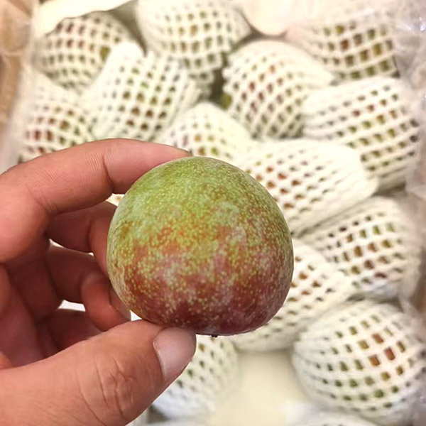 风味帝王 红心李 2kg