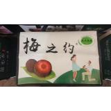 杨梅 4斤