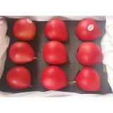 红啤梨 3kg