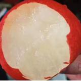 红啤梨 3kg