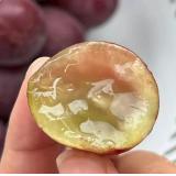 妮娜皇后 1.3kg