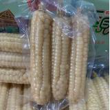 拇指玉米 1kg