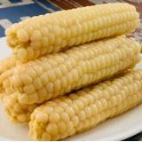 拇指玉米 1kg