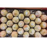 蜥蜴蛋 3.5kg