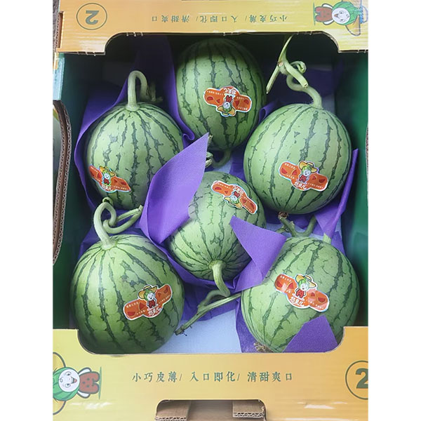 悠果儿红瓤西瓜 8kg