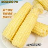 奶油玉米 10根